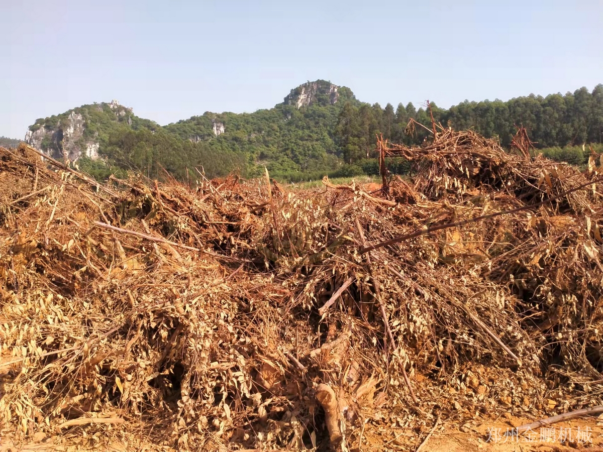 郑州金鹏圆盘式木材破碎机实现大尺寸硬质木料**预粉碎应用现场
