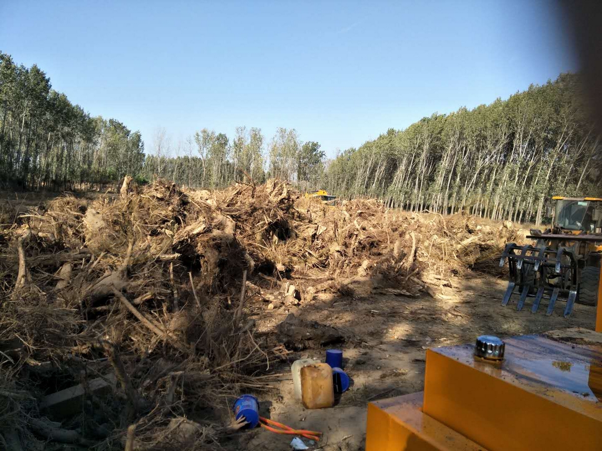 郑州金鹏树根削片机设备厂家提供大尺寸硬质木料预粉碎方案应用现场
