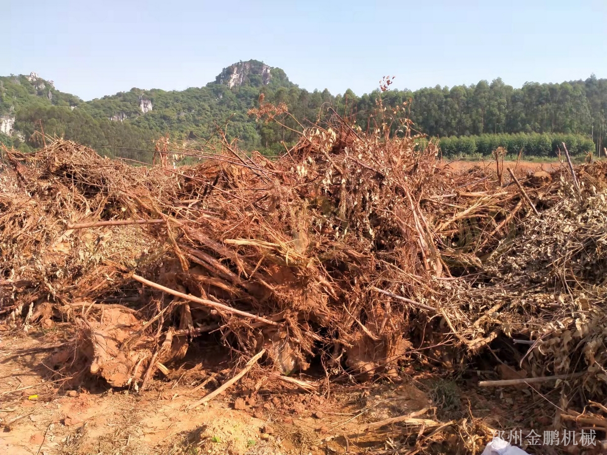 郑州金鹏圆盘树根粉碎机用于生物质燃料预粉碎处理应用现场
